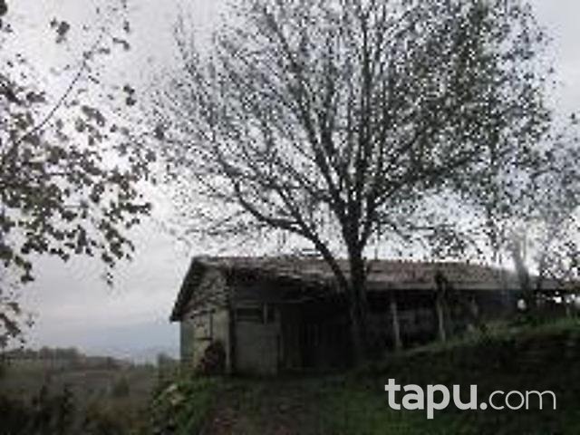 Sakarya Kocaali Gümüşoluk Mahallesinde 19706 m2 Bahçe ve Kargir Ev