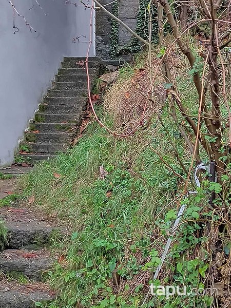 Zonguldak Merkez Meşrutiyet Mahallesi'nde 3+1 Daire