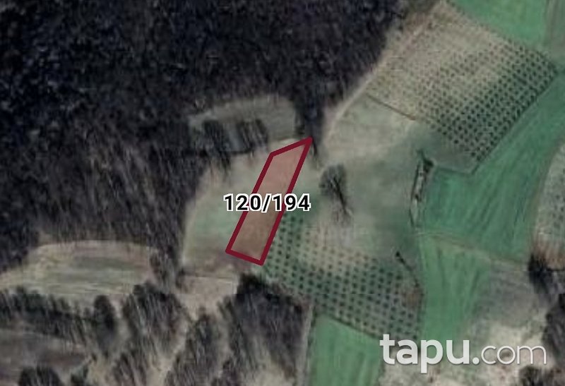 İzmit Akmeşe Otoyol Gişelerine Yakın Tarla