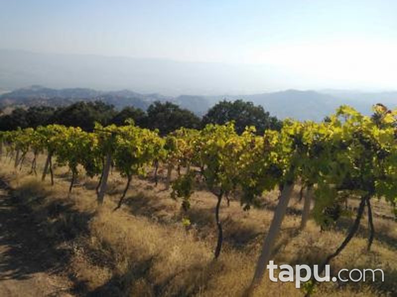 Manisa Alaşehir Horzumalayaka Mahallesi'nde 8 Dönüm Tarla
