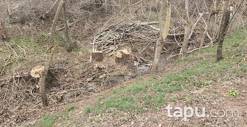 Bilecik Yenipazar'da 1.237 m2 Yan Yana 3 Adet Arazi