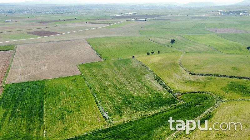 Konya Meram Karaağaç Köyü'nde Yatırımlık 14 Dönüm Tarla