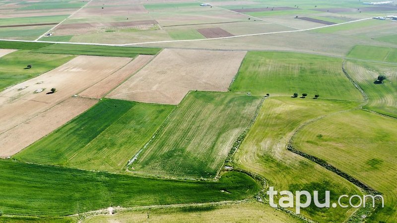 Konya Meram Karaağaç Köyü'nde Yatırımlık 14 Dönüm Tarla