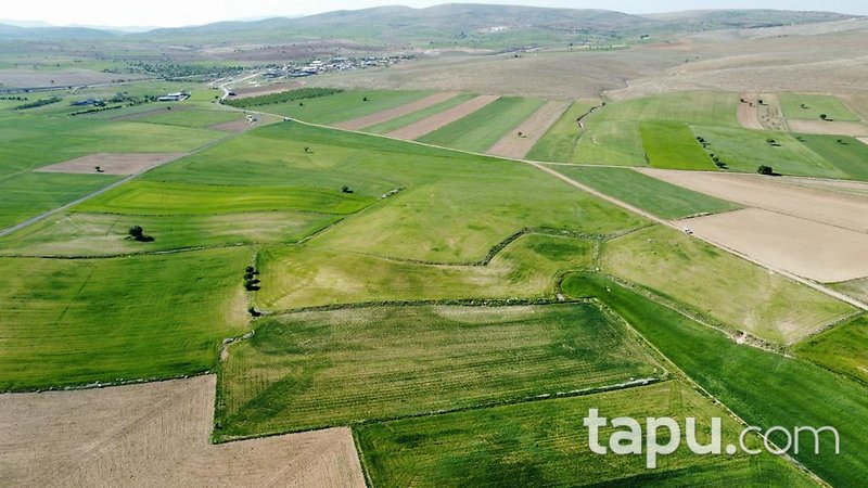 Konya Meram Karaağaç Köyü'nde Yatırımlık 14 Dönüm Tarla
