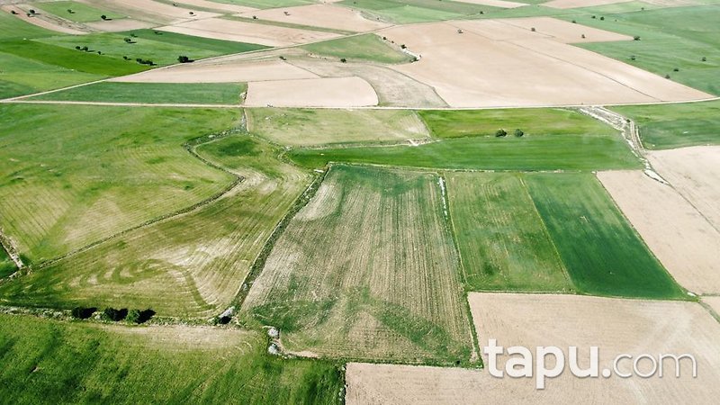 Konya Meram Karaağaç Köyü'nde Yatırımlık 14 Dönüm Tarla