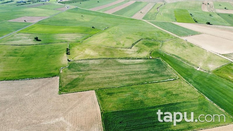 Konya Meram Karaağaç Köyü'nde Yatırımlık 14 Dönüm Tarla