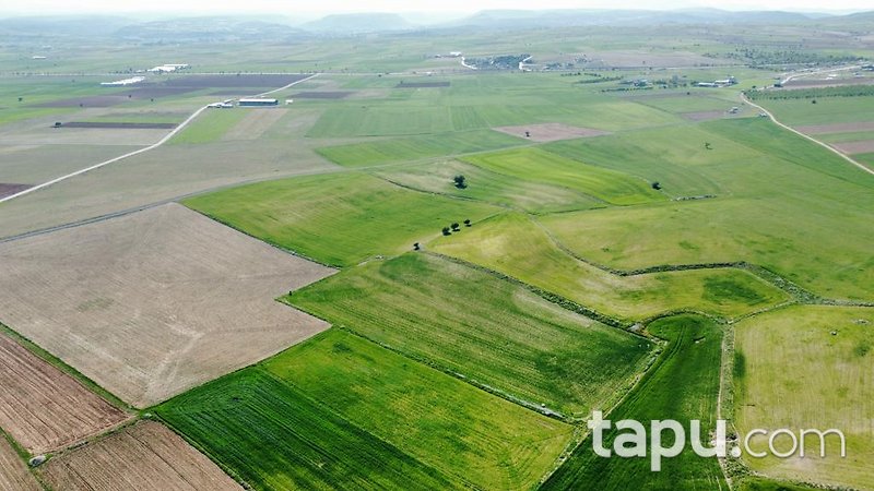 Konya Meram Karaağaç Köyü'nde Yatırımlık 14 Dönüm Tarla