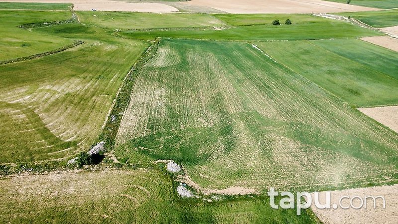Konya Meram Karaağaç Köyü'nde Yatırımlık 14 Dönüm Tarla