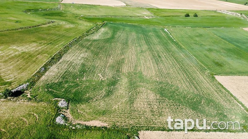 Konya Meram Karaağaç Köyü'nde Yatırımlık 14 Dönüm Tarla