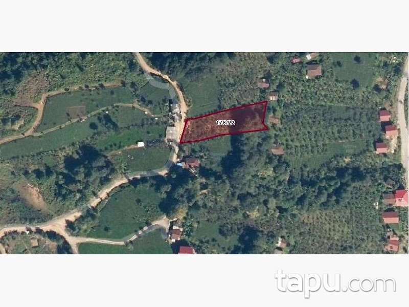 Trabzon Sürmene Birlik Köyü'nde 1.834 m2 Çay Bahçesi