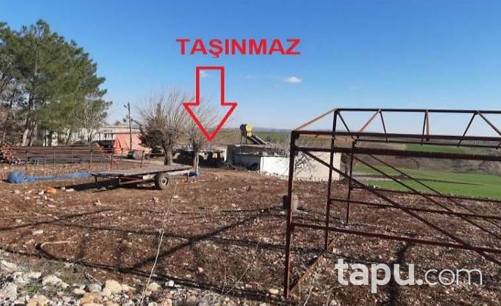 Adıyaman Merkez Börgenek Köyü'nde Kerpiç Ev ve Arsası