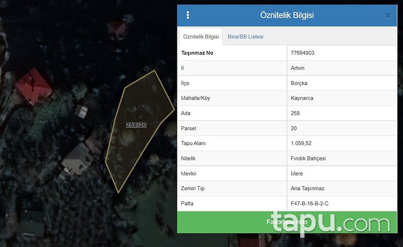 Artvin Borçka Kaynarca Köyü'nde Hisseli Fındık Bahçesi