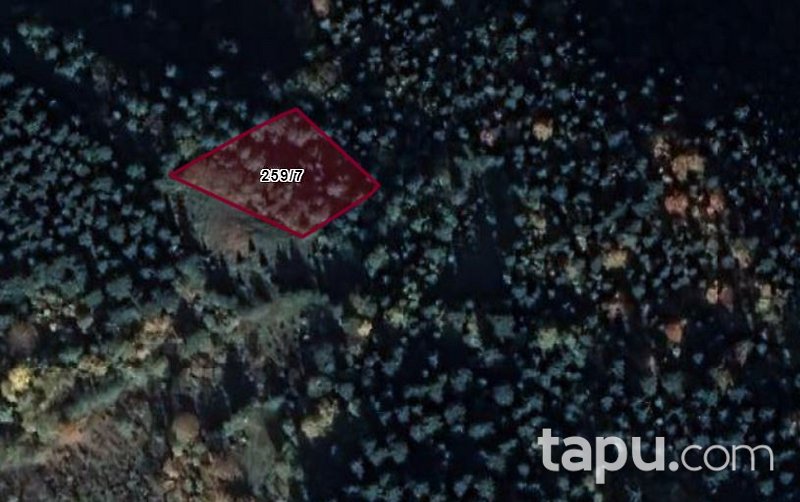 Artvin Borçka Kaynarca Köyü'nde Hisseli Fındık Bahçesi