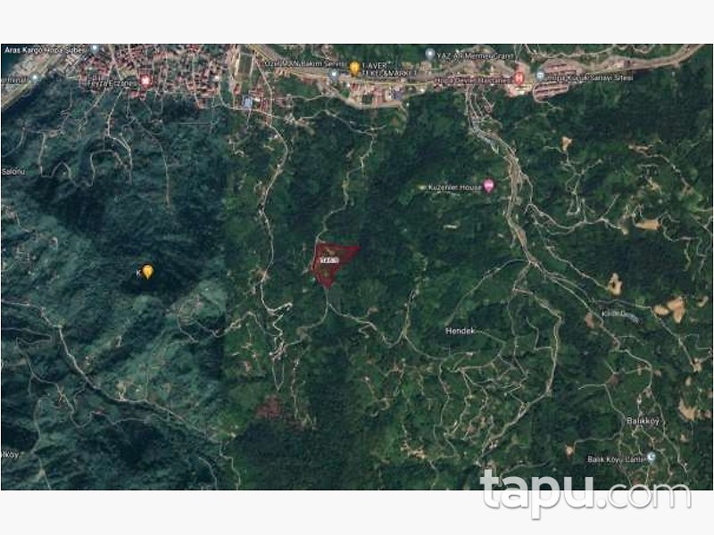 Artvin Hopa Sundura Mahallesi'nde Hisseli Ahşap Ev ve Çay Bahçesi