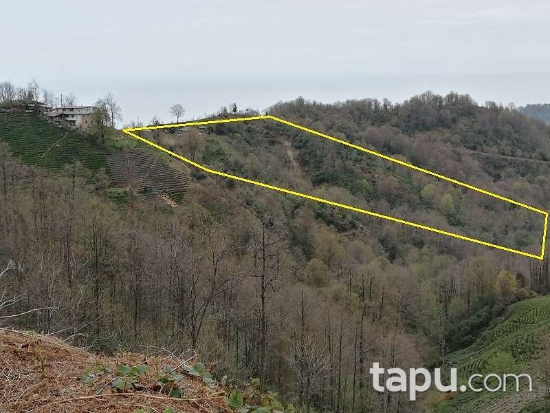 Artvin Hopa Sundura Mahallesi'nde Hisseli Ahşap Ev ve Çay Bahçesi