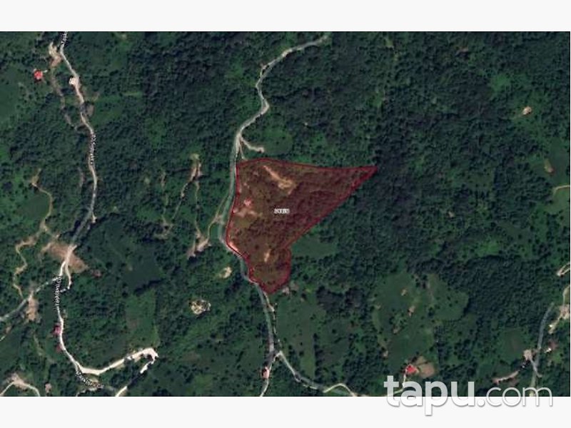 Artvin Hopa Sundura Mahallesi'nde Hisseli Ahşap Ev ve Çay Bahçesi