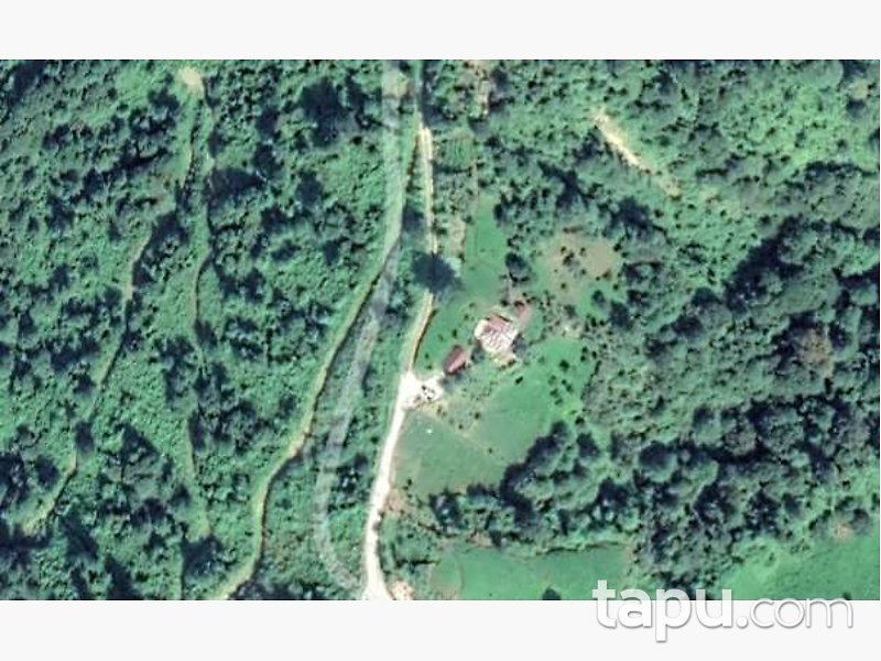 Artvin Hopa Sundura Mahallesi'nde Hisseli Ahşap Ev ve Çay Bahçesi