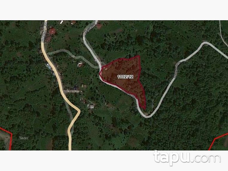 Rize Merkez Ekmekçiler Mahallesi'nde Hisseli Çay Bahçesi