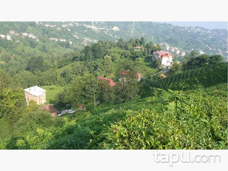 Rize Merkez Ekmekçiler Mahallesi'nde Hisseli Çay Bahçesi