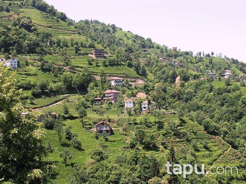 Rize Merkez Ekmekçiler Mahallesi'nde Hisseli Çay Bahçesi