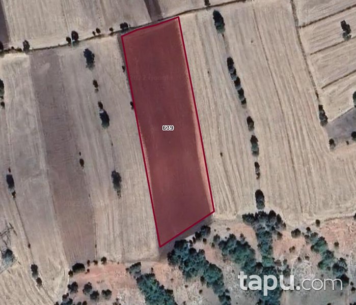 Tokat Zile Söğütözü Köyü'nde Kaçırılmayacak Fırsatta 10 Dönüm Tarla