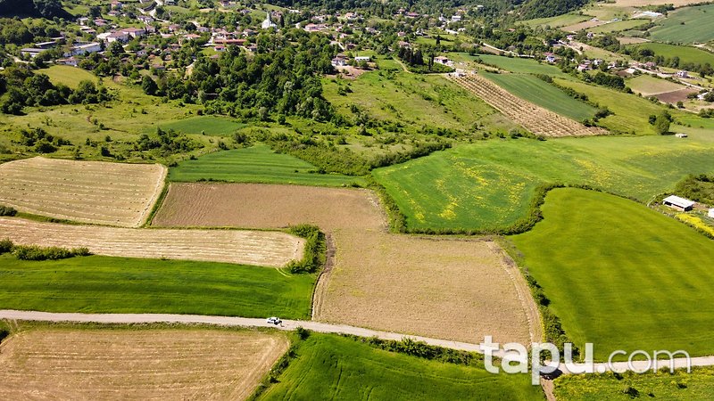 Yalova Altınova'da Yola Cepheli Yatırımlık 14 Dönüm Tarla
