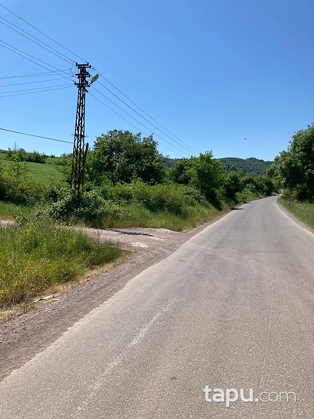 Yalova Altınova'da Yola Cepheli Yatırımlık 14 Dönüm Tarla