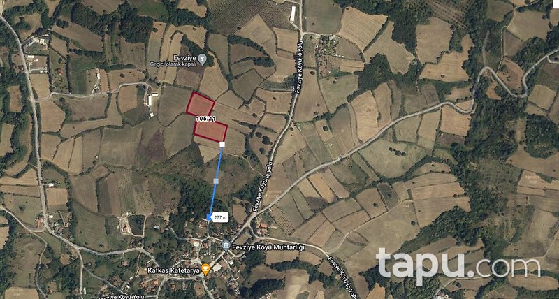 Yalova Altınova'da Yola Cepheli Yatırımlık 14 Dönüm Tarla