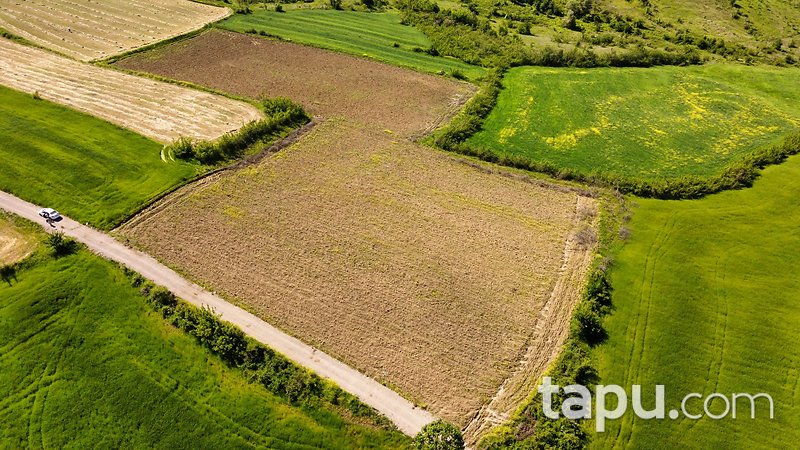 Yalova Altınova'da Yola Cepheli Yatırımlık 14 Dönüm Tarla