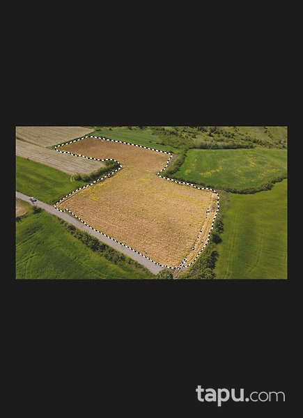 Yalova Altınova'da Yola Cepheli Yatırımlık 14 Dönüm Tarla