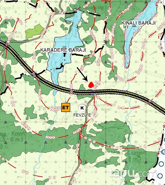 Yalova Altınova'da Yola Cepheli Yatırımlık 14 Dönüm Tarla