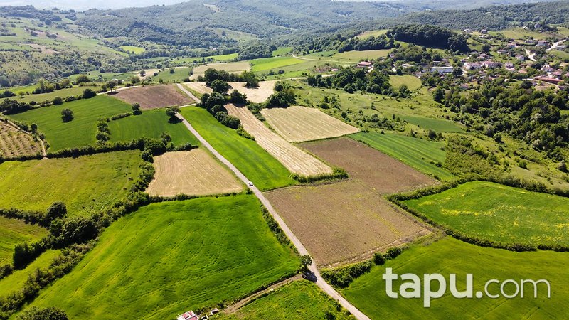 Yalova Altınova'da Yola Cepheli Yatırımlık 14 Dönüm Tarla