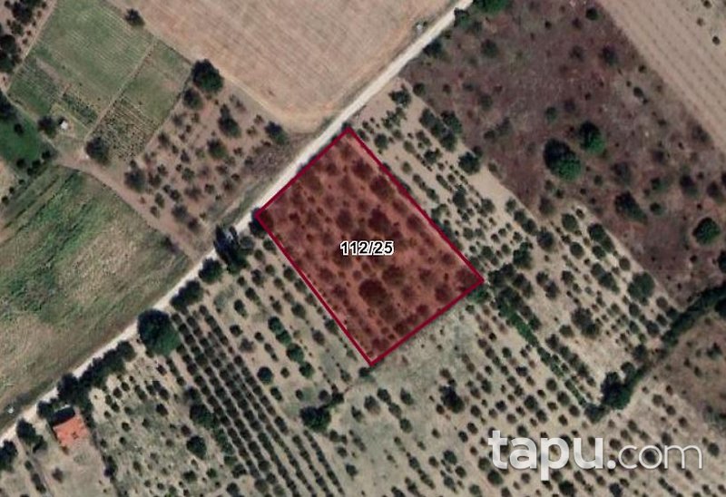 Bilecik Gölpazarı'nda Yatırımlık 4 Dönüm Tarla