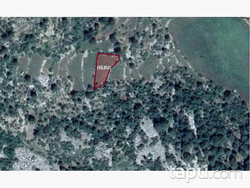 Antalya Akseki Erenyaka'da Yatırımlık 980 m2 Tarla