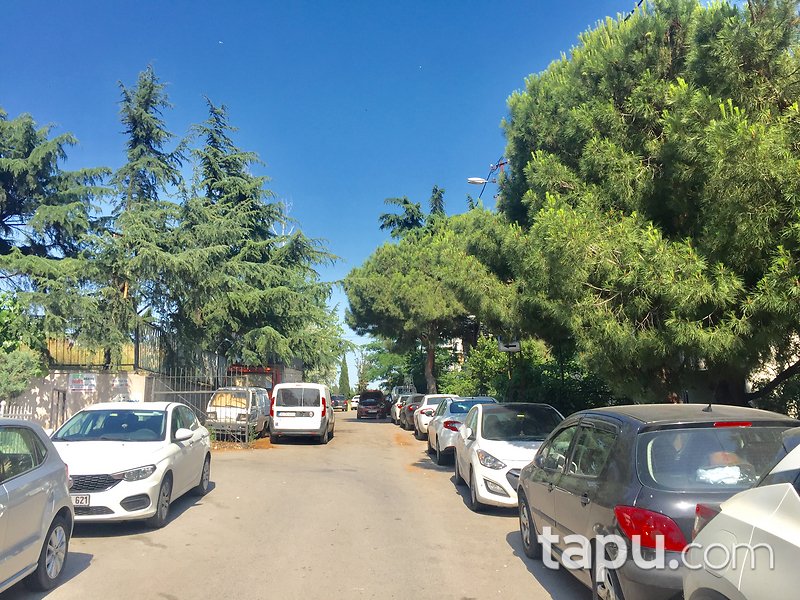 Maltepe Altıntepe'de Balkonlu Geniş Ferah 3+1 Daire