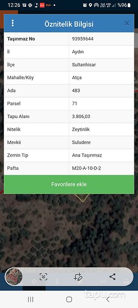 Aydın Sultanhisar'da Yatırımlık 4 Dönüm Zeytinlik