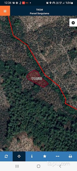 İzmir Bayındır'da Yatırımlık 4 Dönüm Zeytinlik