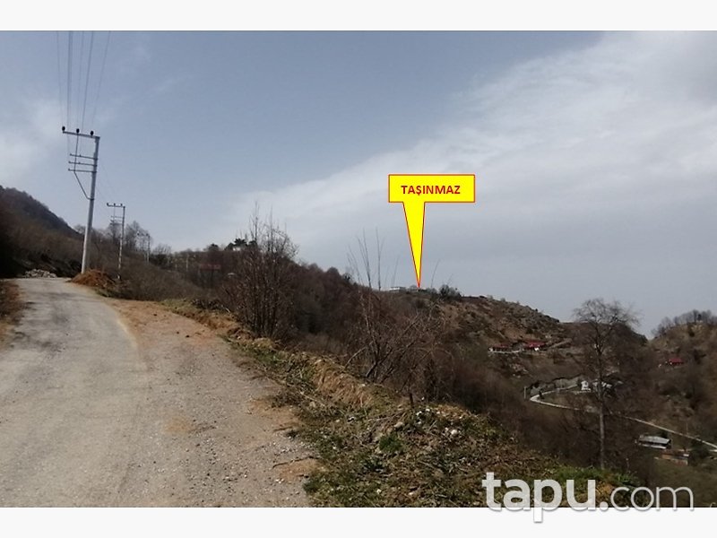 Sakarya Akyazı Ballıkaya Mahallesi'nde Kargir Ev ve Fındıklık