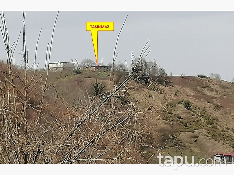 Sakarya Akyazı Ballıkaya Mahallesi'nde Kargir Ev ve Fındıklık