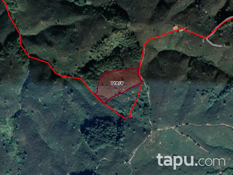 Sakarya Akpınar Mahallesi'nde Yola Cepheli Yetişkin Ağaç Dikili Fındık Bahçesi