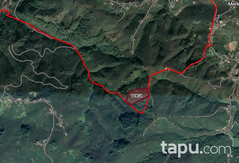 Sakarya Akpınar Mahallesi'nde Yola Cepheli Yetişkin Ağaç Dikili Fındık Bahçesi
