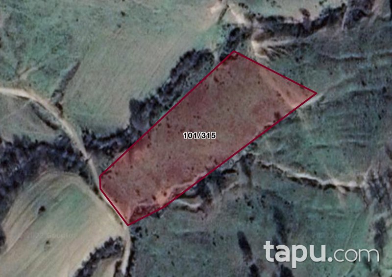 Kırklareli Merkez Kuzuluk'ta 9.549 m2 Tarla