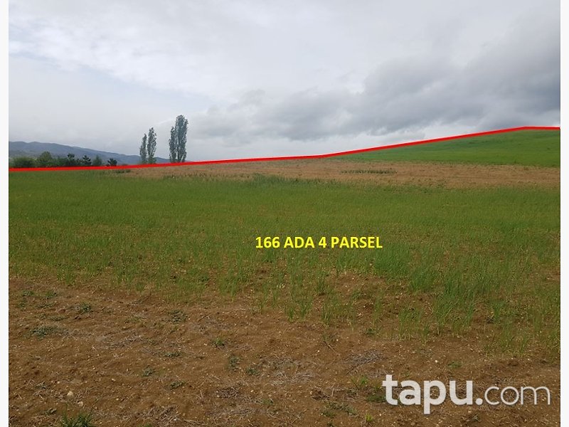 Kastamonu Taşköprü'de Yatırımlık 19 Dönüm Tarla