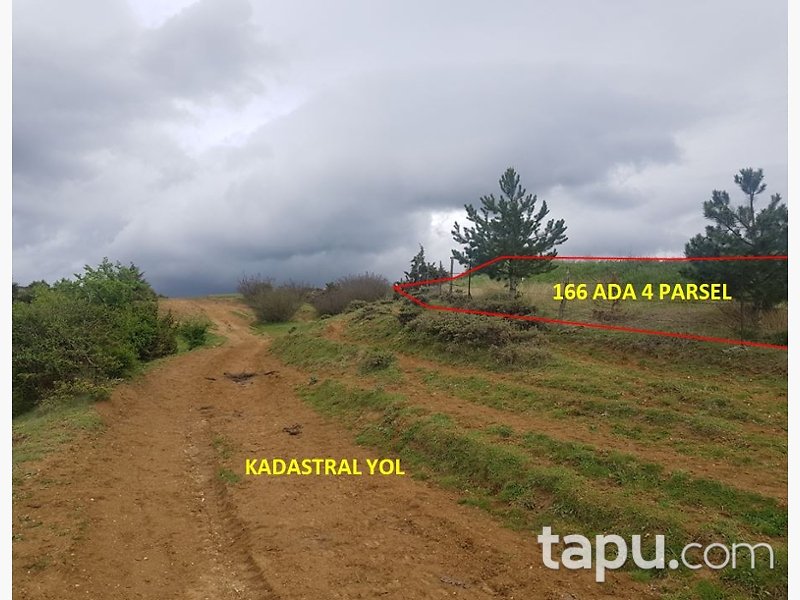 Kastamonu Taşköprü'de Yatırımlık 19 Dönüm Tarla