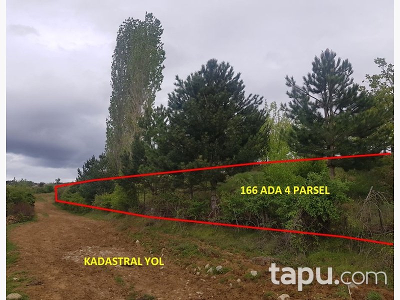 Kastamonu Taşköprü'de Yatırımlık 19 Dönüm Tarla