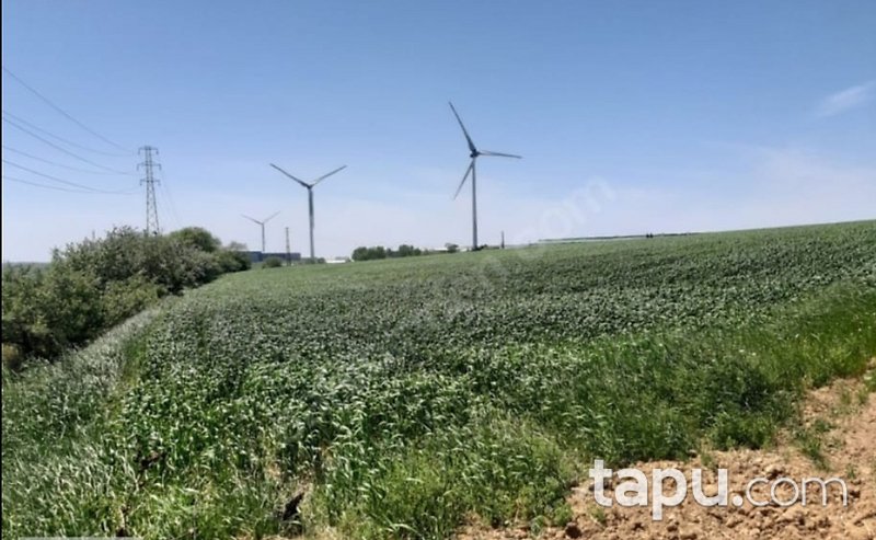 Çerkezköy Teknoloji Geliştirme Sanayi Alanlarına Komşu Tarla