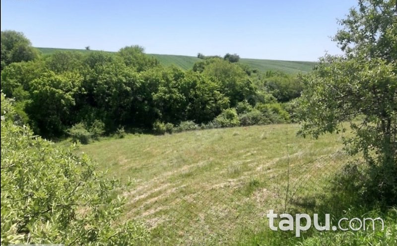 Çerkezköy Teknoloji Geliştirme Sanayi Alanlarına Komşu Tarla