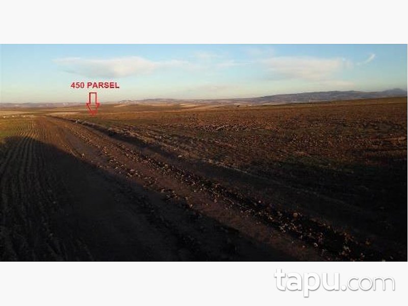 Nevşehir Hacıbektaş Karaburç Köyü'nde 60 Dönüm 2 Adet Tarla