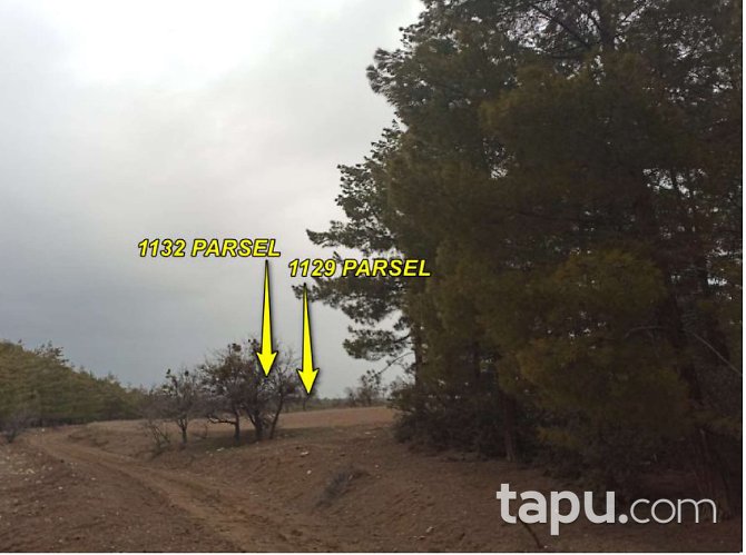 Afyon Dazkırı'da 2900 m2 Tarla (1700)