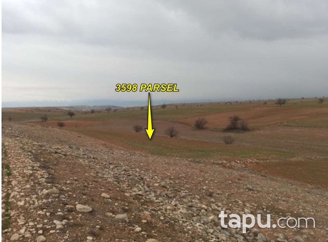 Afyonkarahisar Dazkırı Kızılören Köyü'nde 6 Dönüm Tarla (1695)